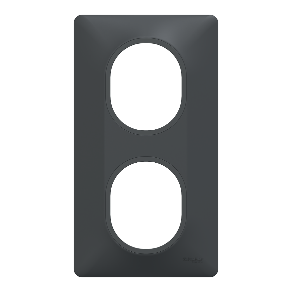Plaque 2 postes Vert 71mm Anth